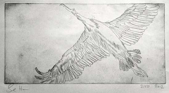 Der Traum vom Fliegen (c) Radierung von Susanne Haun original Radierung – Strichätzung, 15 x 30 cm